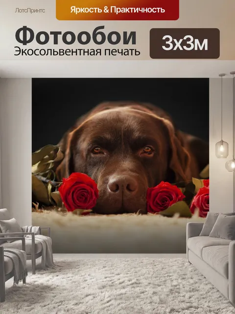 Фотообои Лабрадор