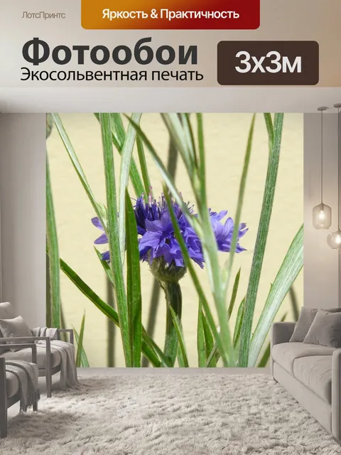 Фотообои Васильковый