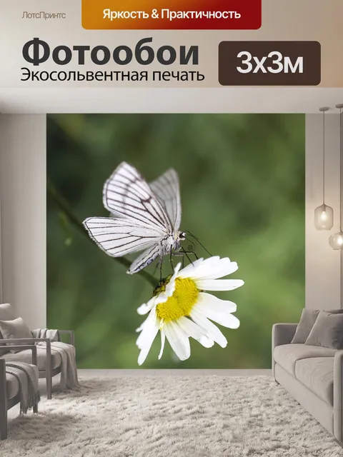 Фотообои Бабочка