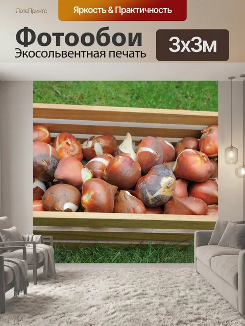 Фотообои Цветок