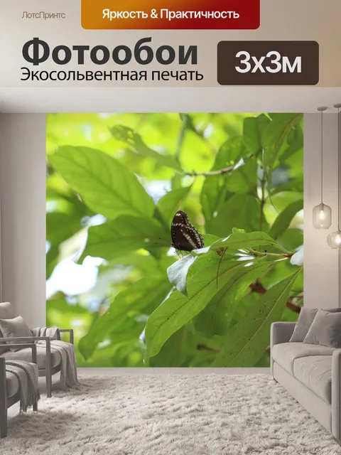 Фотообои Бабочка