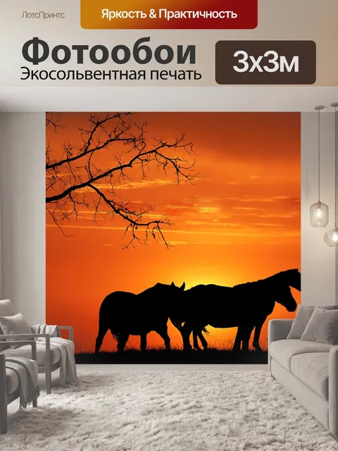 Фотообои Заход солнца