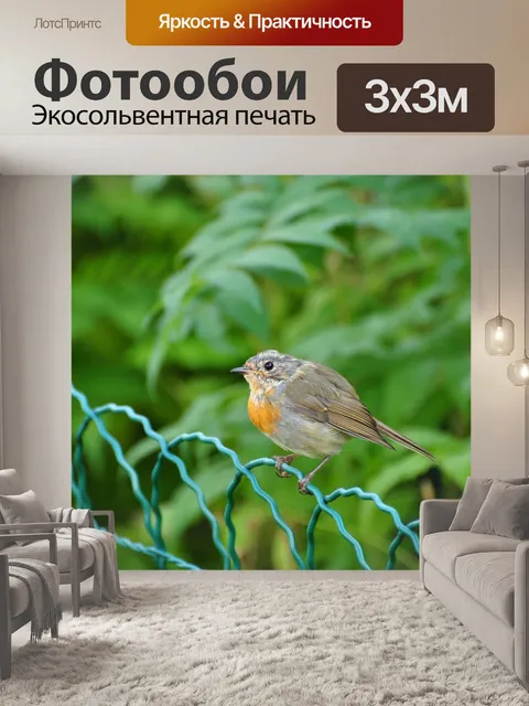 Фотообои Птица