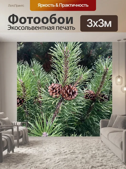Фотообои Деревья