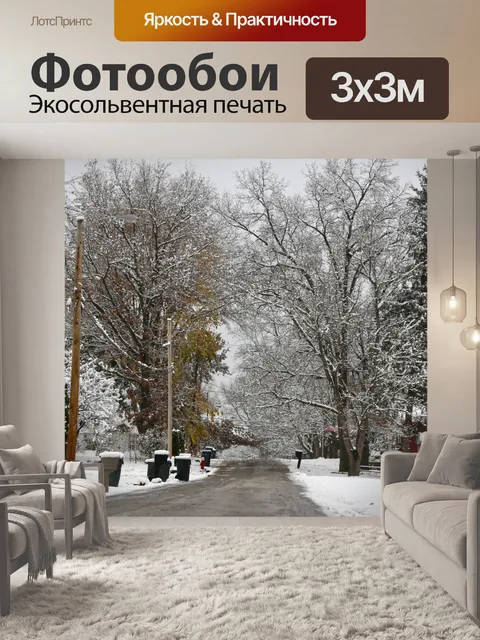 Фотообои Снежный пригородной улице