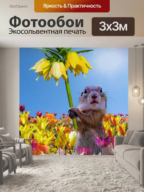 Фотообои Белка