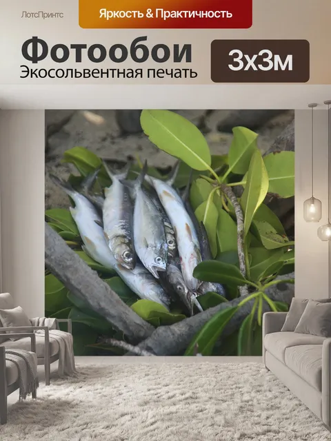 Фотообои Рыбы