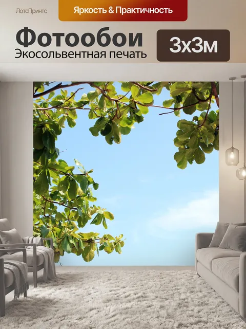 Фотообои листья и небо