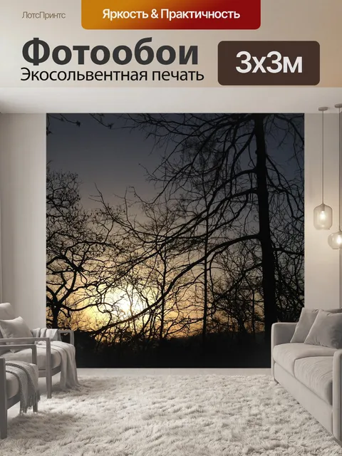 Фотообои Заход солнца
