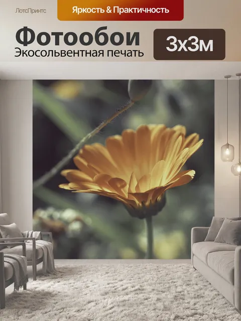 Фотообои Сад