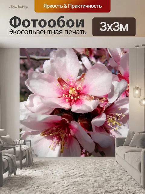 Фотообои Цветы