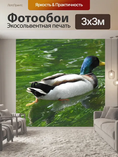 Фотообои Птицы