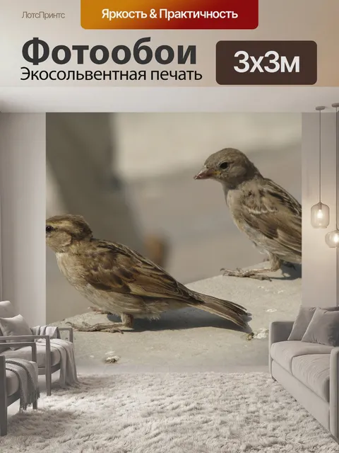 Фотообои Птицы