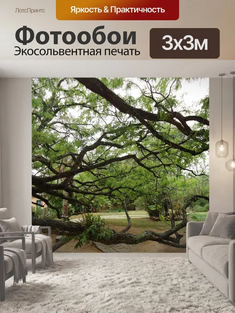 Фотообои Деревья