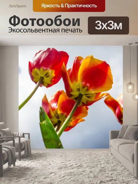 Фотообои Цветы