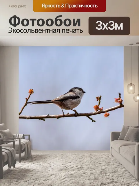 Фотообои Животное