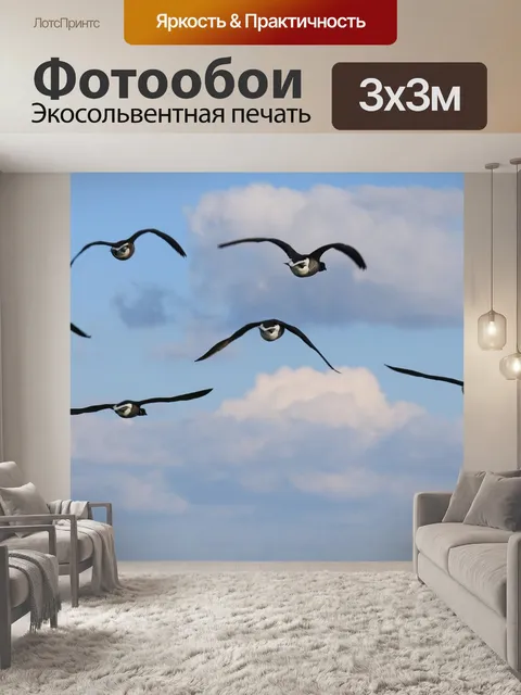 Фотообои Птицы