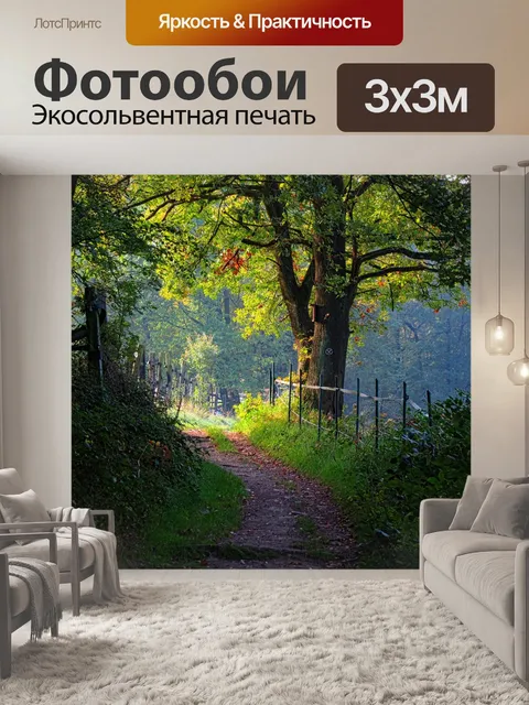 Фотообои Дорожка