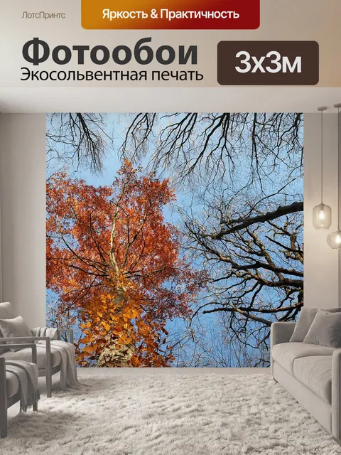Фотообои Дерево