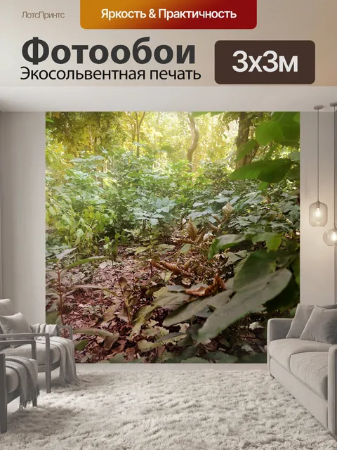 Фотообои Деревья и листья 25