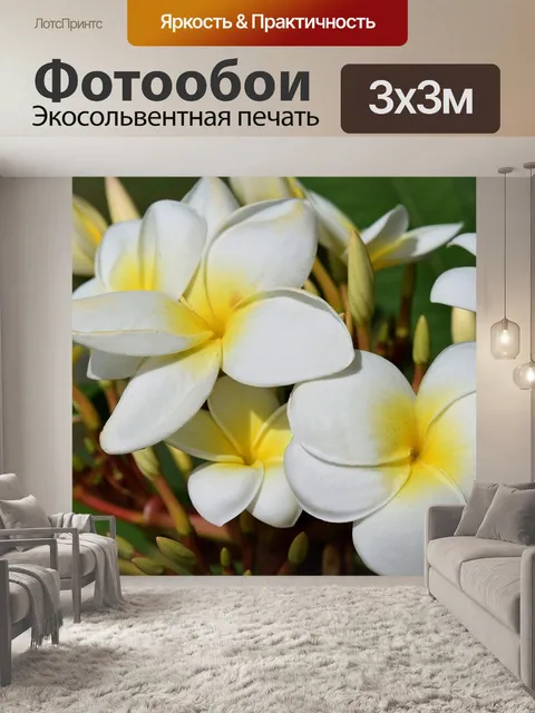 Фотообои Цветы