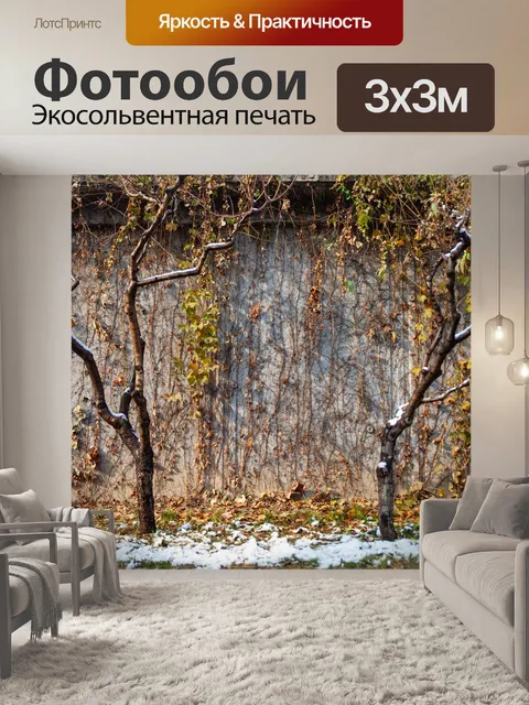 Фотообои Деревья