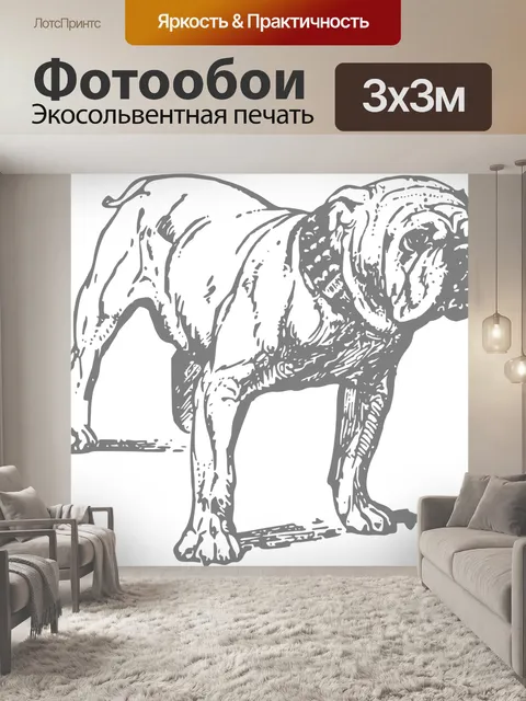 Фотообои Бульдог