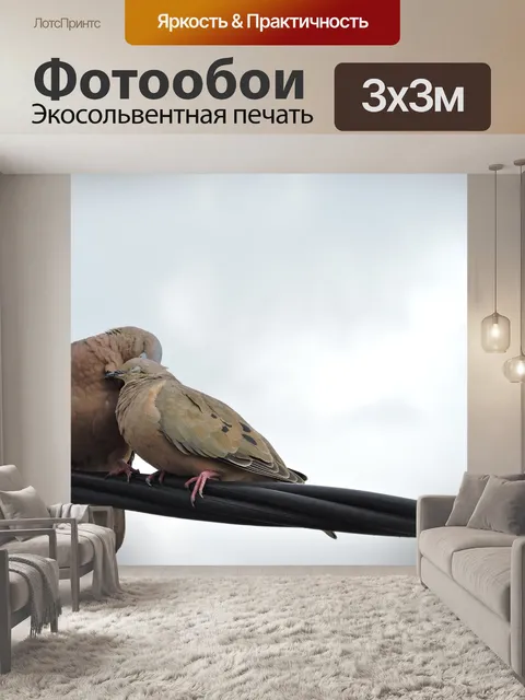 Фотообои Птицы