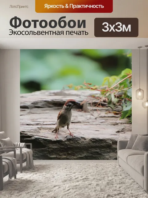 Фотообои Воробей