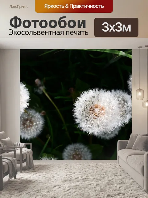 Фотообои Цветок