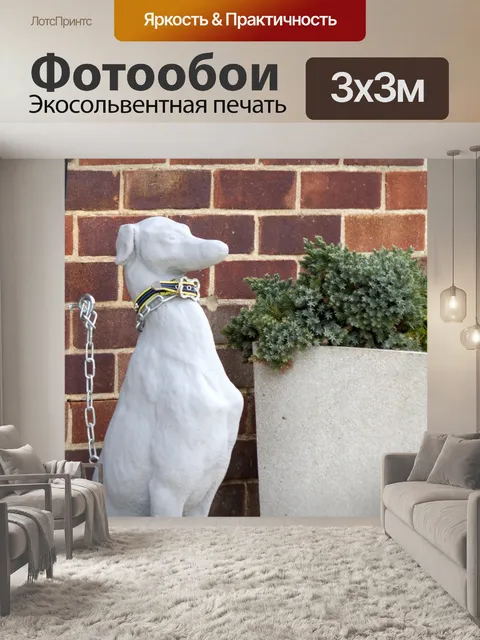 Фотообои Борзая собака