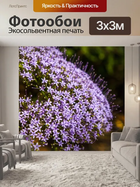 Фотообои Сирень