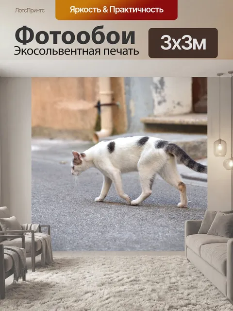 Фотообои Кошка