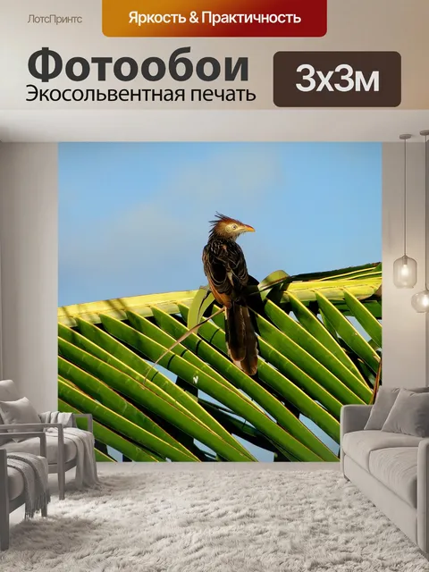 Фотообои Птица