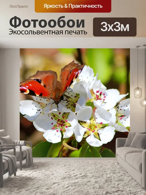 Фотообои Бабочка