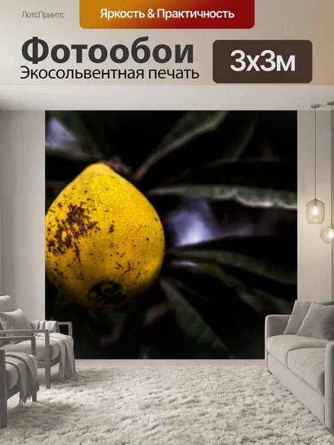 Фотообои Фрукты