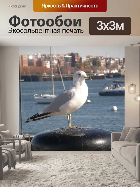 Фотообои Чайка