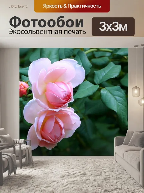 Фотообои Розы
