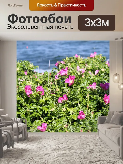 Фотообои Розовый Буш цветов и океана