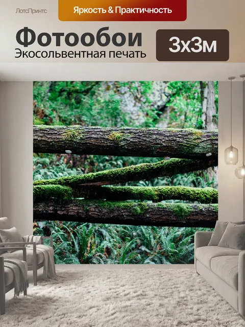 Фотообои Лес