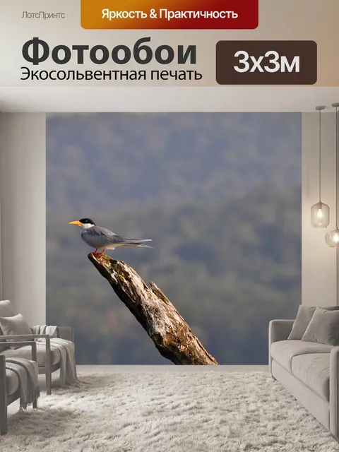 Фотообои Птицы
