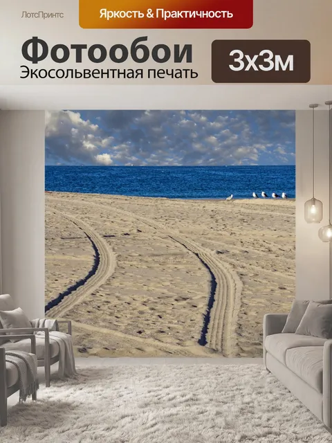 Фотообои Чайки и следы шин