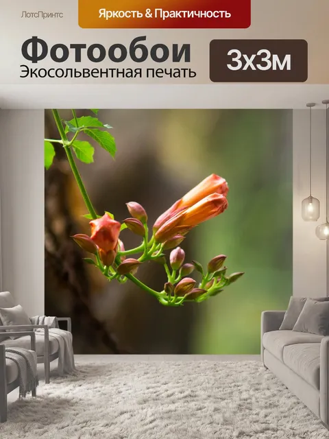 Фотообои Цветок