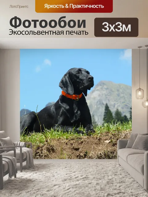 Фотообои Животное
