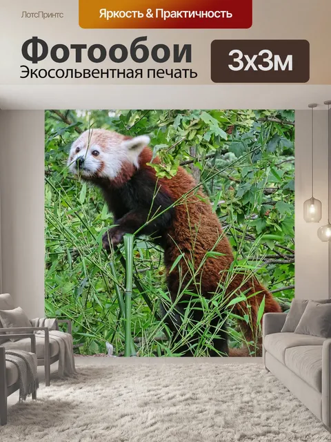 Фотообои Зоопарк