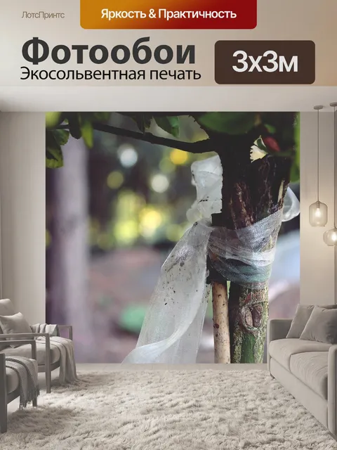 Фотообои Дерево