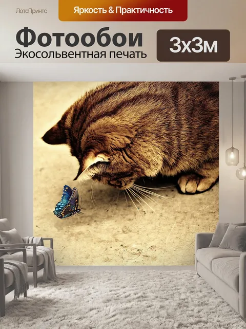 Фотообои Кот