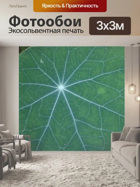 Фотообои лист настурции с радиальной сеткой