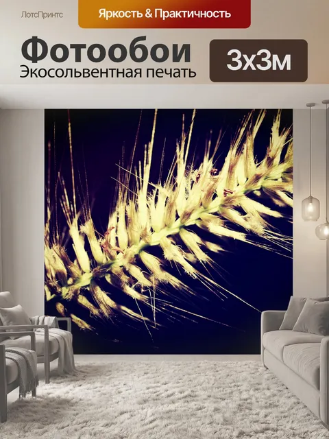Фотообои Красивый цветок в природе