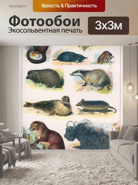 Фотообои Млекопитающие дикая природа винтаж стары